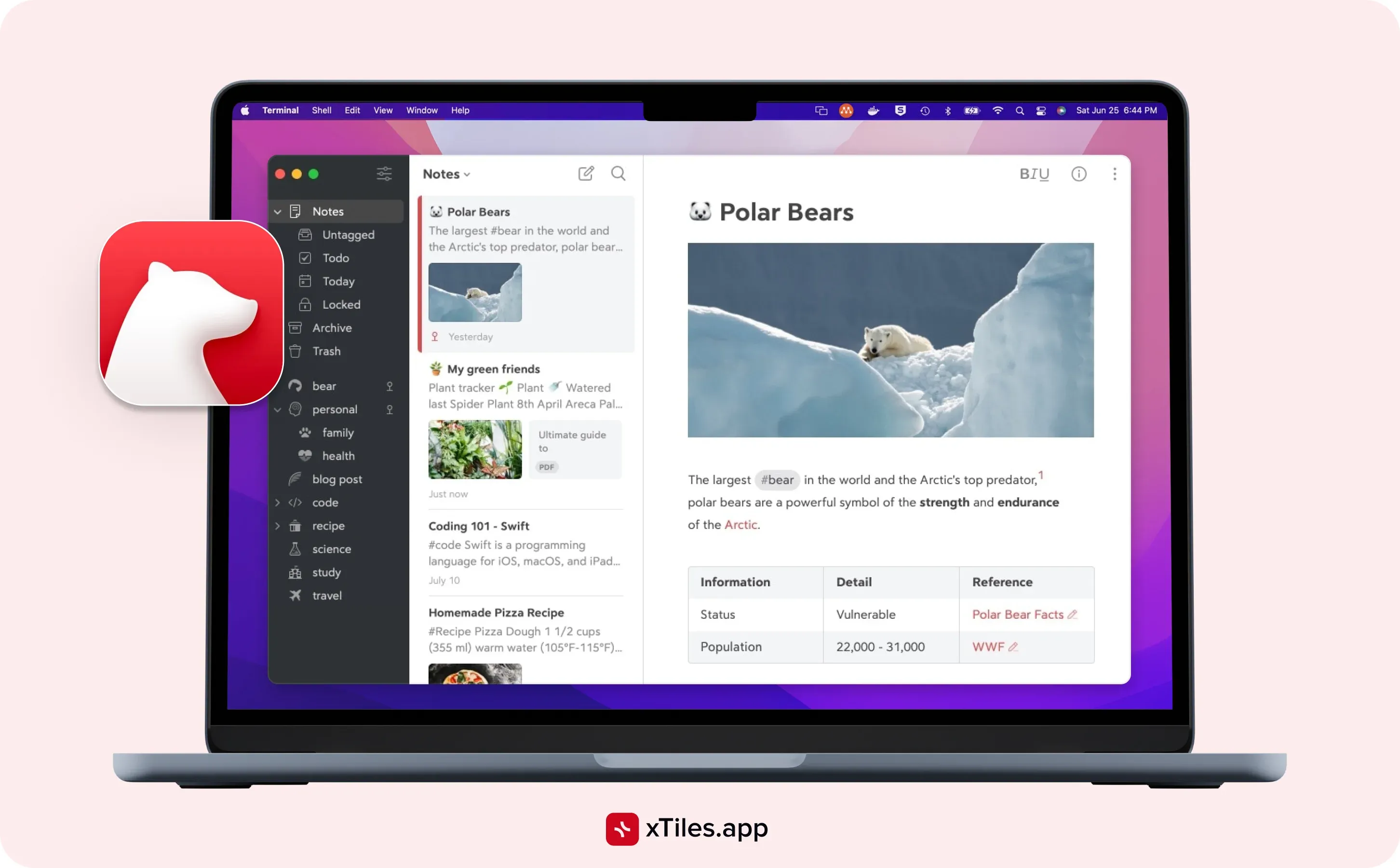 Bear Notes: a reliable tool for quick and effective note-taking — illustration