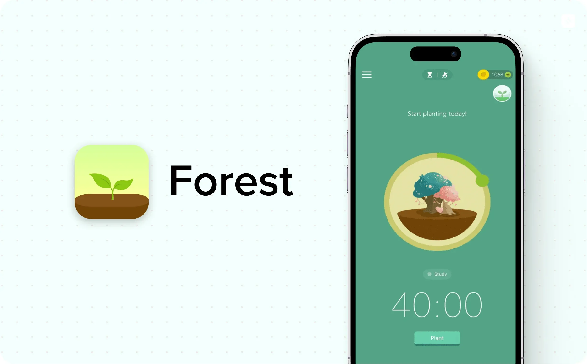 7. Forest — illustration